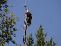 img_5102.jpg